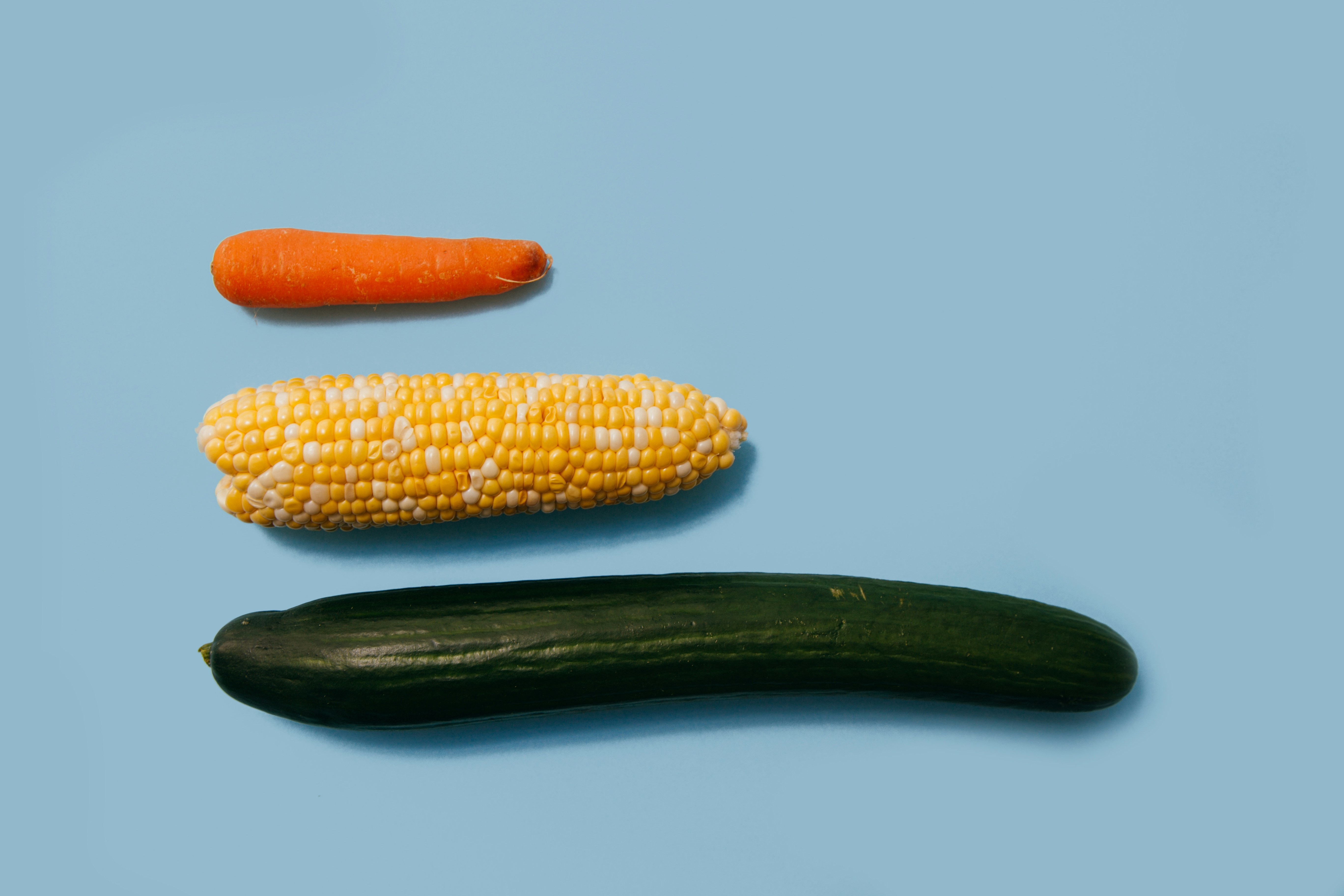 Penis Health: What Affects Penis Health? 1 img