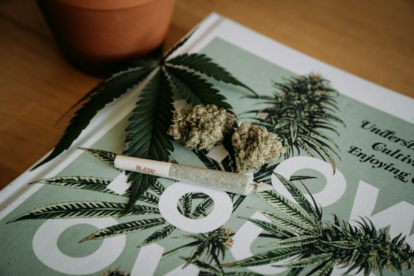 Ways To Avoid Weed Smell in Your Home 1 img