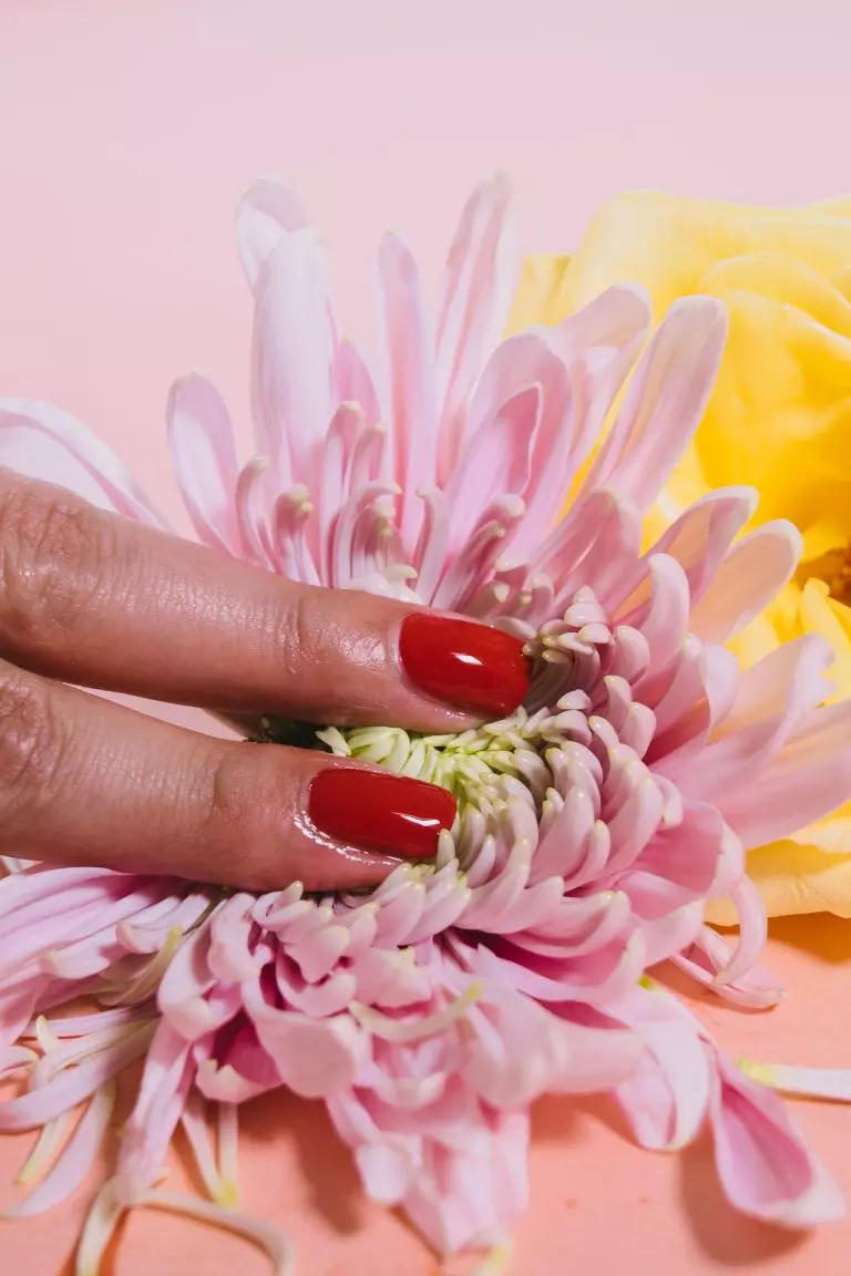 a hand holding a bouquet of flowers