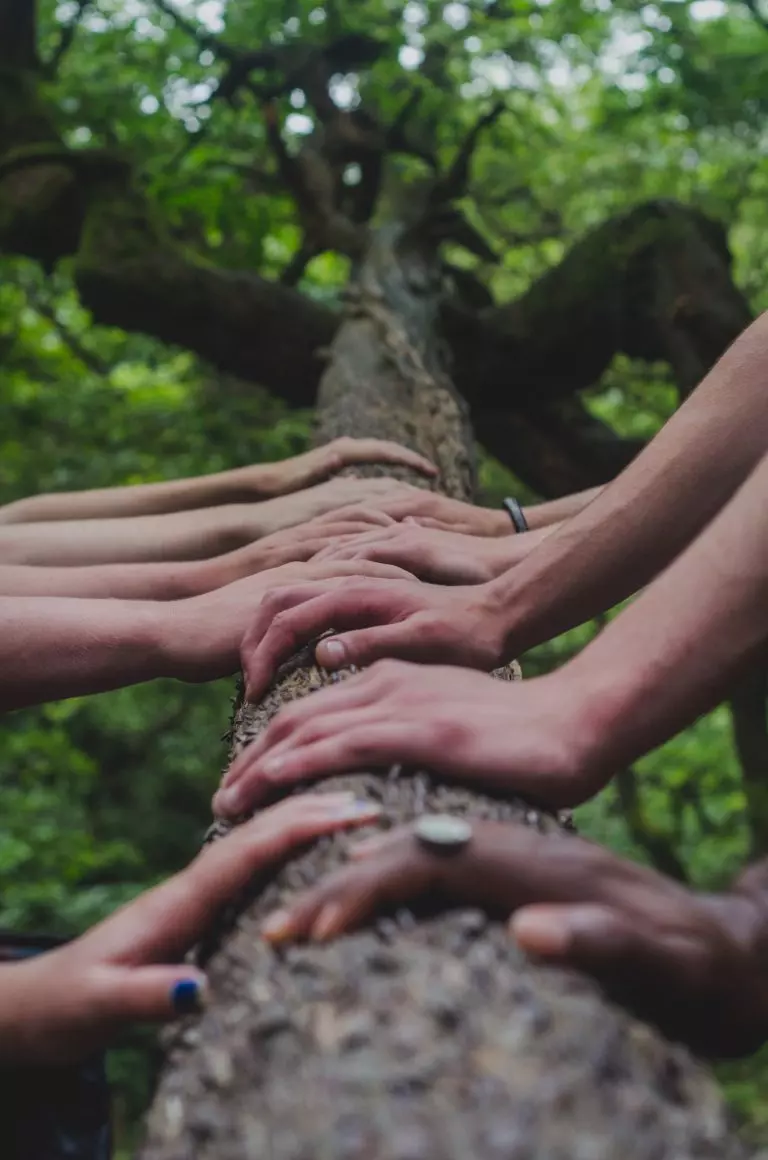a group of hands holding a tree