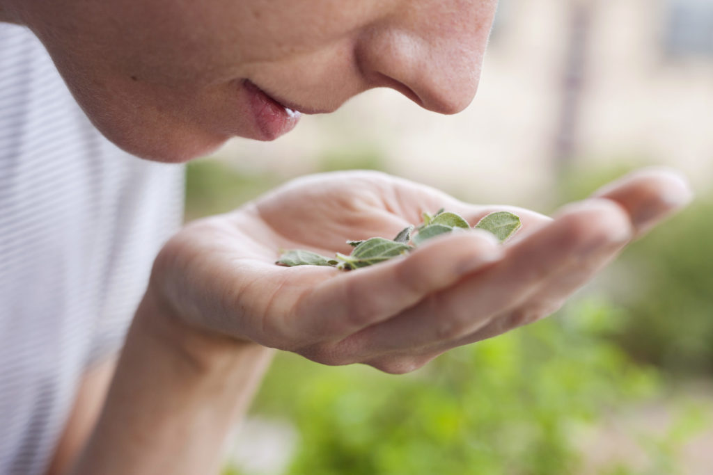 Woman smelling fresh herbs, close-up